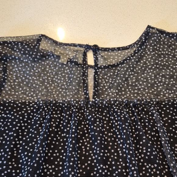 Max Studio Black Sheer Polka Dot Short Sleeve Blouse - Picture 6 of 7
